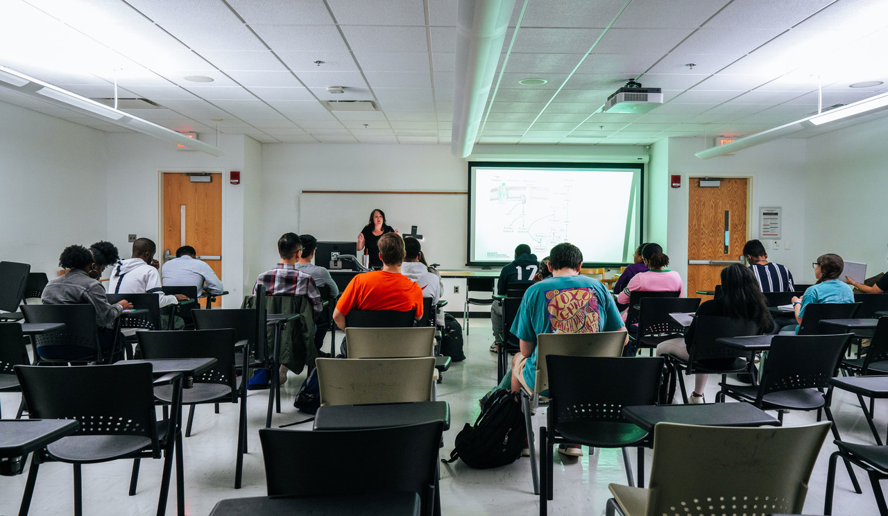                                                                 조지아주립대 수업장면